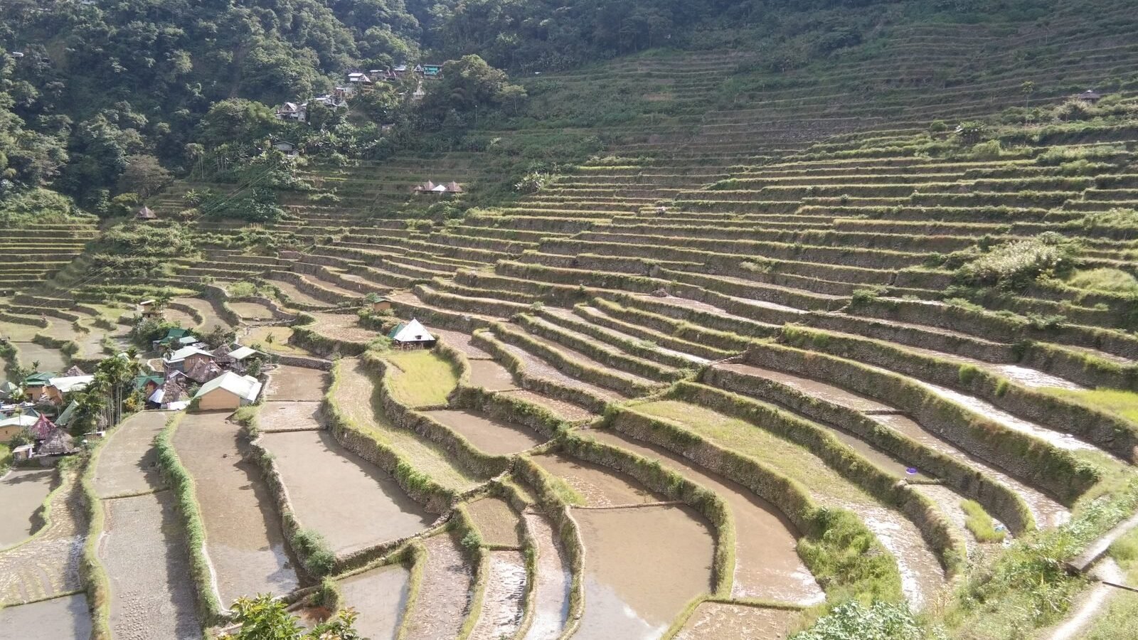 The stone-walled Banaue Rice Terraces carved into the mountainside in Ifugao, Philippines
