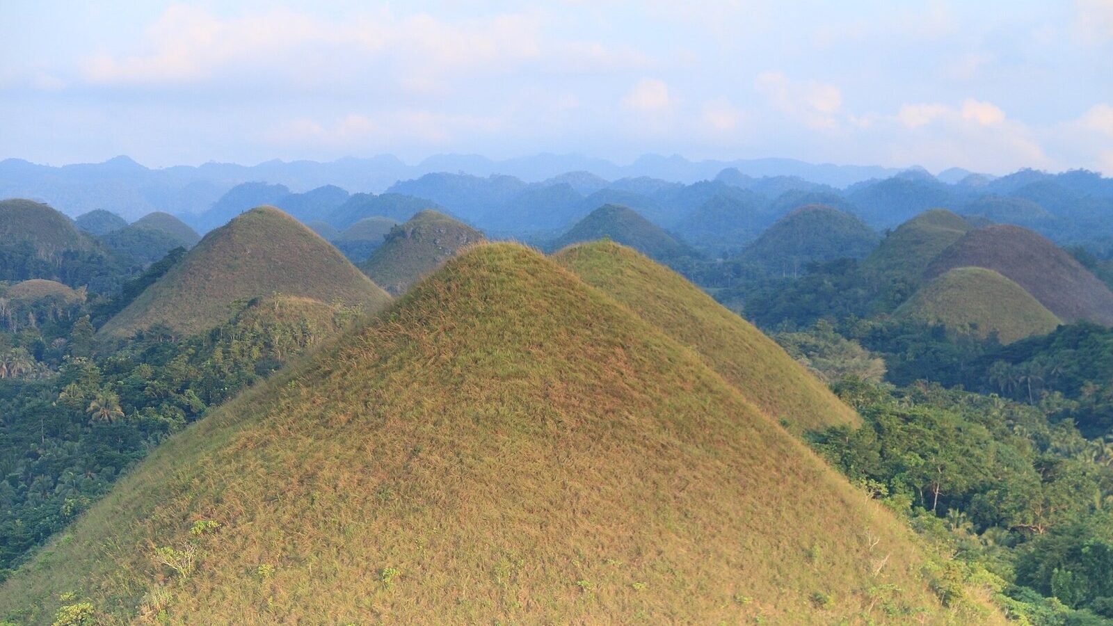 Grass-covered conical hills of the Chocolate Hills receding into blue ridges in Bohol, Philippines