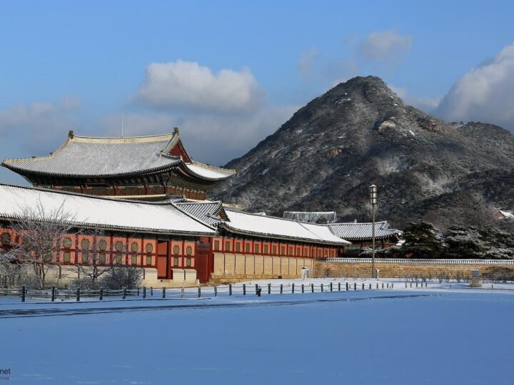 South Korea — 5D4N ❄️ WINTER SEASON 🇰🇷