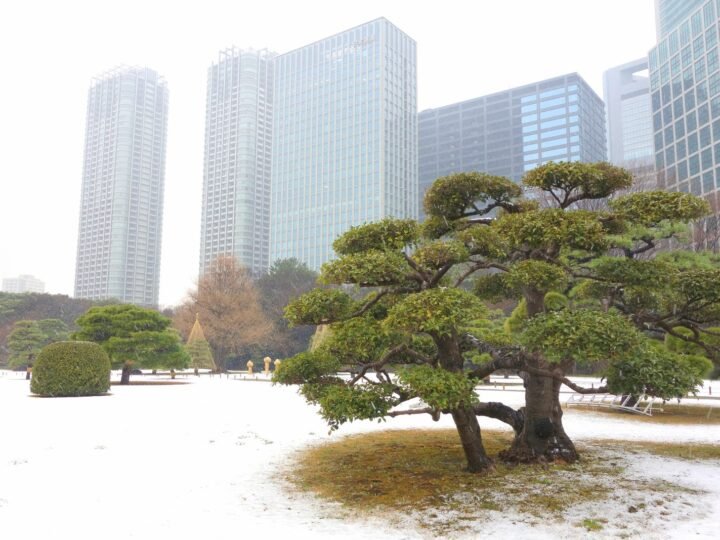 Tokyo, Japan — 6D5N ❄️ WINTER SEASON 🇯🇵