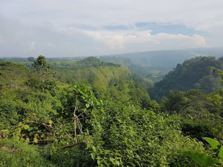 MALAYBALAY ✖ IMPASUG-ONG ✖ MANOLO FORTICH, BUKIDNON — 2D1N 🇵🇭