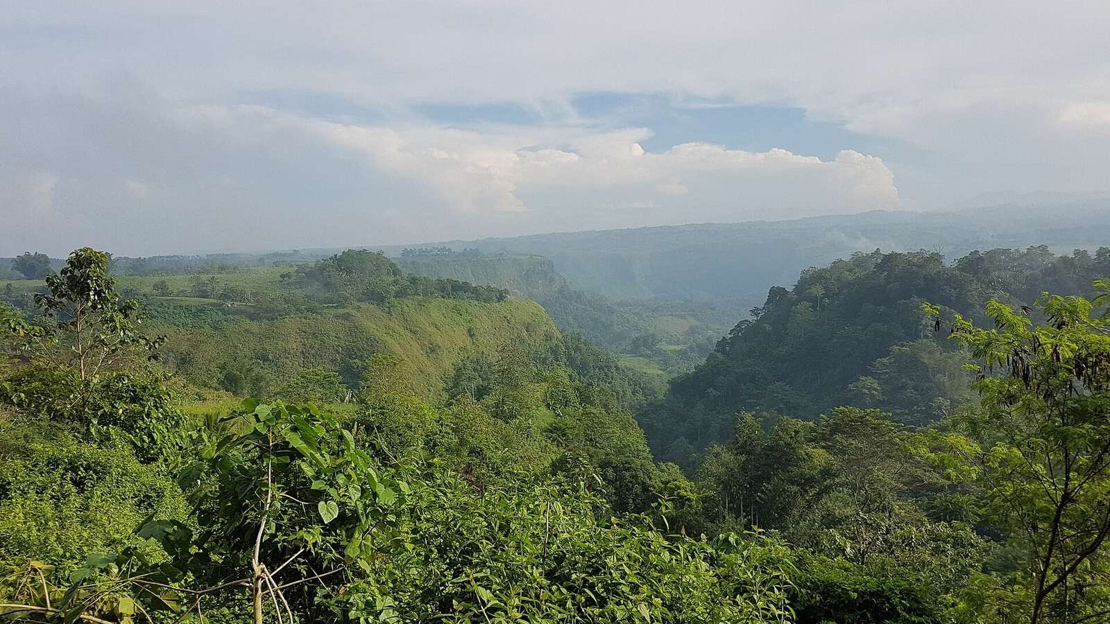 The forested gorge of Mangima Canyon at Maluko in Manolo Fortich, Bukidnon, Philippines