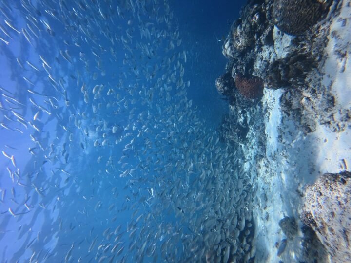 CEBU — 3D2N 🇵🇭