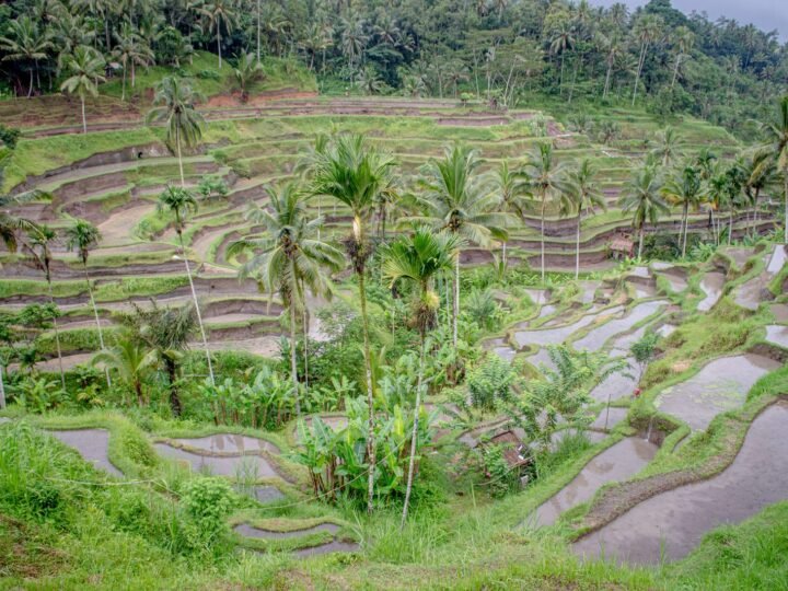 BALI, INDONESIA – 4D3N 🇮🇩