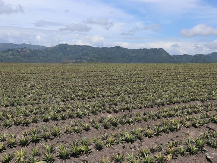 TUPI, SOUTH COTABATO — 1 DAY TOUR 🇵🇭